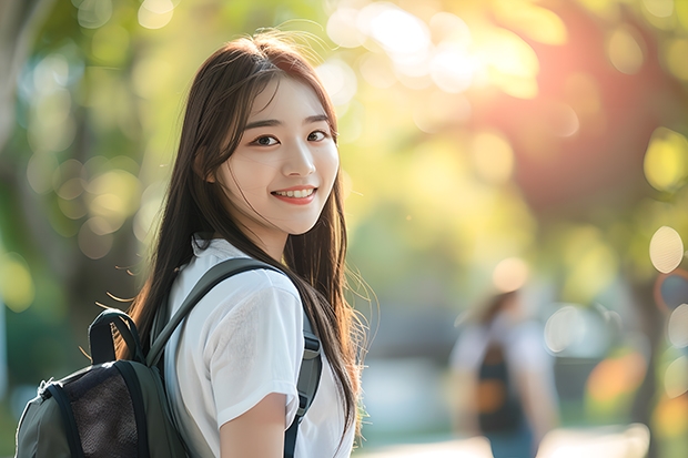 辽宁鲁美分数线 鲁美录取分数线2023