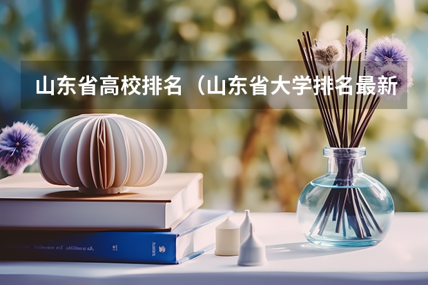 山东省高校排名（山东省大学排名最新排名）
