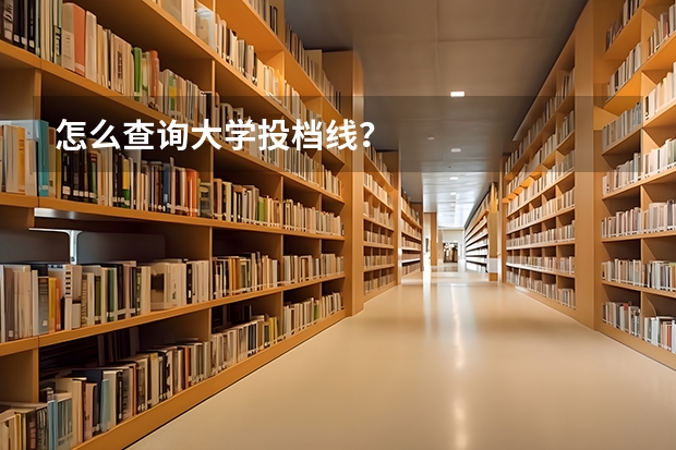 怎么查询大学投档线？