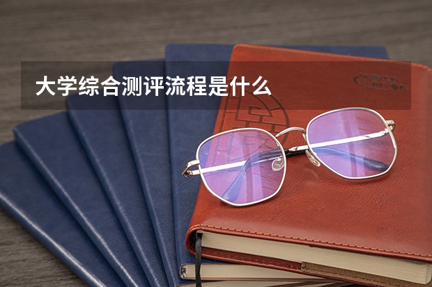 大学综合测评流程是什么