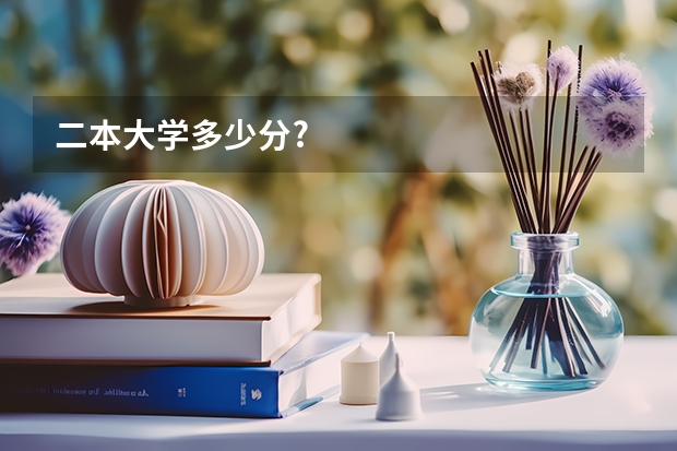 二本大学多少分?