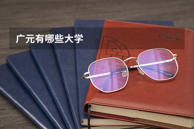 广元有哪些大学