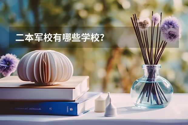 二本军校有哪些学校？