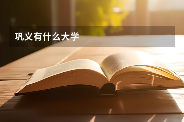 巩义有什么大学
