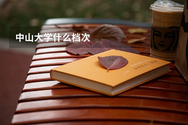 中山大学什么档次