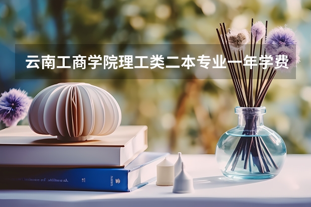 云南工商学院理工类二本专业一年学费大概多少