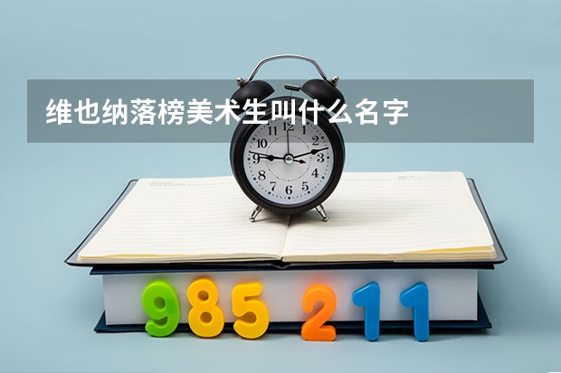 维也纳落榜美术生叫什么名字