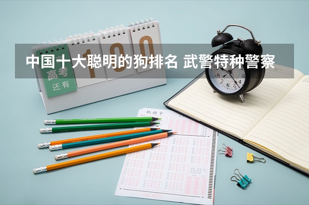 中国十大聪明的狗排名 武警特种警察学院军犬训导员专业是士官么