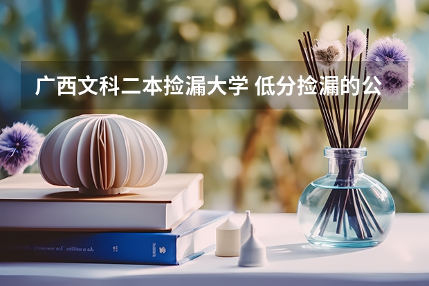 广西文科二本捡漏大学 低分捡漏的公办二本院校