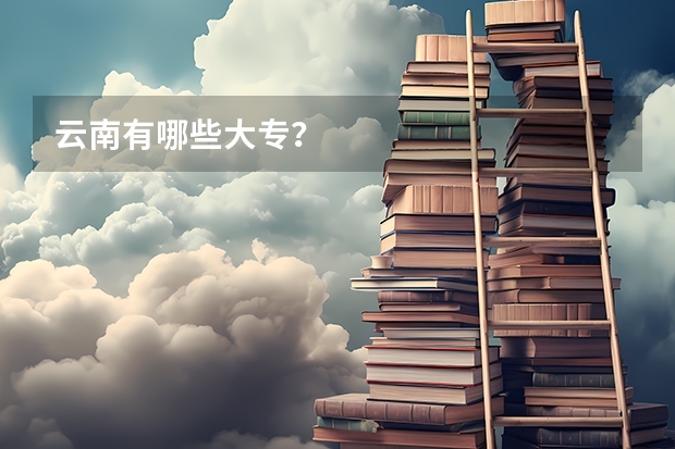 云南有哪些大专？