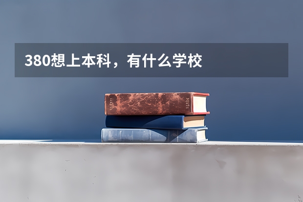 380想上本科,有什么学校