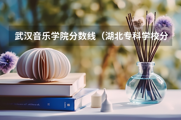武汉音乐学院分数线（湖北专科学校分数线）