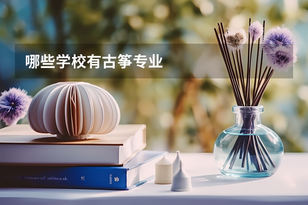 哪些学校有古筝专业