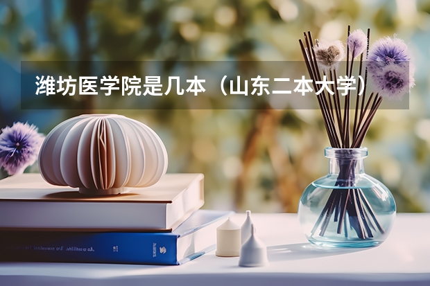 潍坊医学院是几本（山东二本大学）