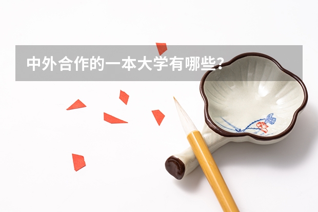 中外合作的一本大学有哪些？