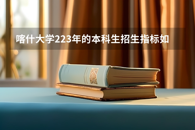 喀什大学223年的本科生招生指标如何