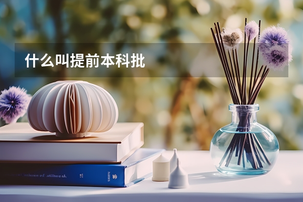 什么叫提前本科批