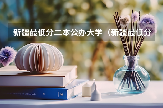 新疆最低分二本公办大学（新疆最低分的二本大学）