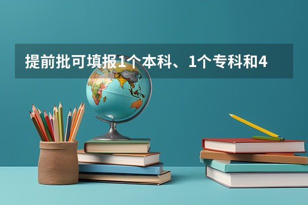 提前批可填报1个本科、1个专科和4个是否服从调剂院校志愿这句话是什么意思啊？我山东的。