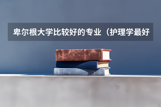 卑尔根大学比较好的专业(护理学最好的大学排名)