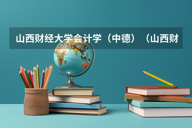 山西财经大学会计学（中德）（山西财经大学会计学(中外合作办学)）