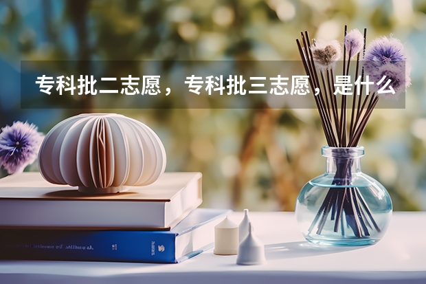 专科批二志愿，专科批三志愿，是什么意思，有什么区别，为什么没有～专科批一志愿～