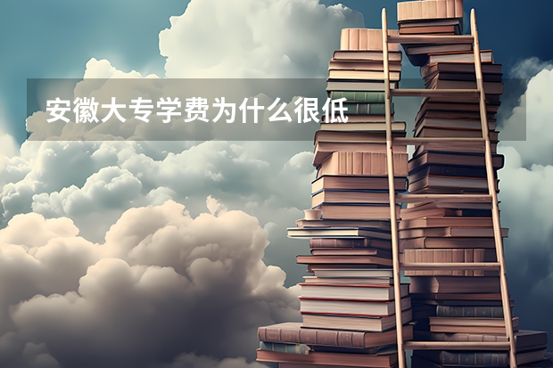 安徽大专学费为什么很低