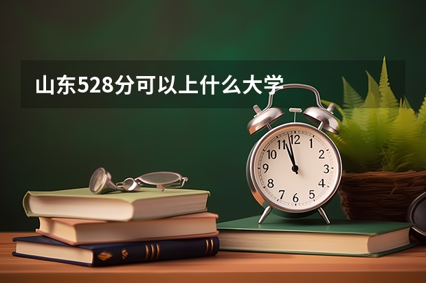 山东528分可以上什么大学