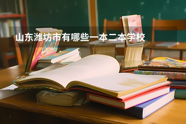 山东潍坊市有哪些一本二本学校
