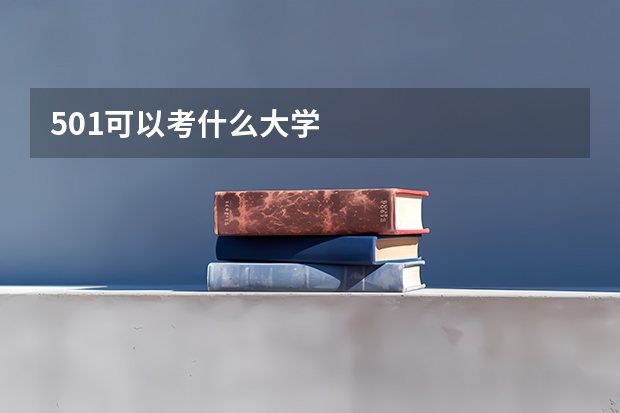501可以考什么大学