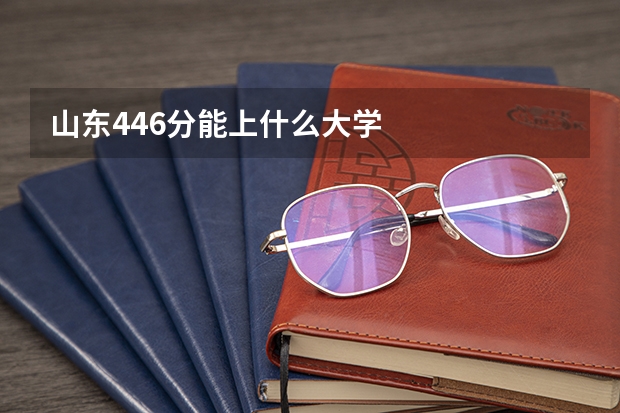 山东446分能上什么大学