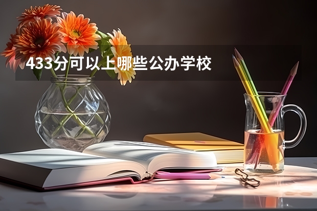 433分可以上哪些公办学校