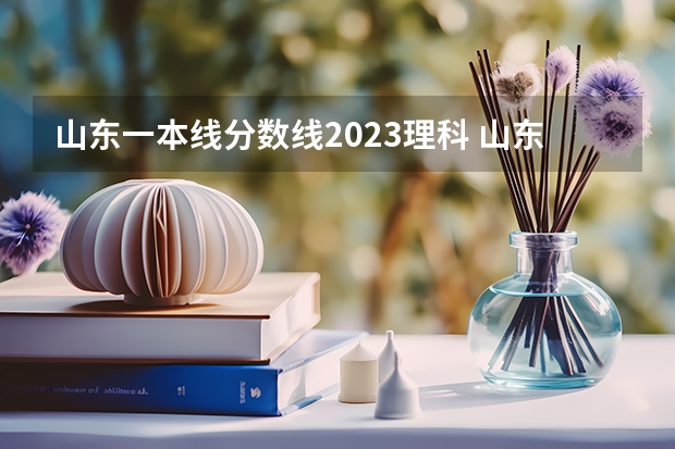 山东一本线分数线2023理科 山东高考分数线