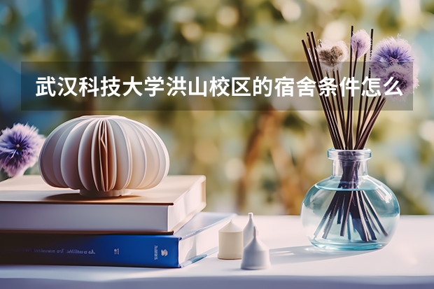 武汉科技大学洪山校区的宿舍条件怎么样？知道的人介绍一下。