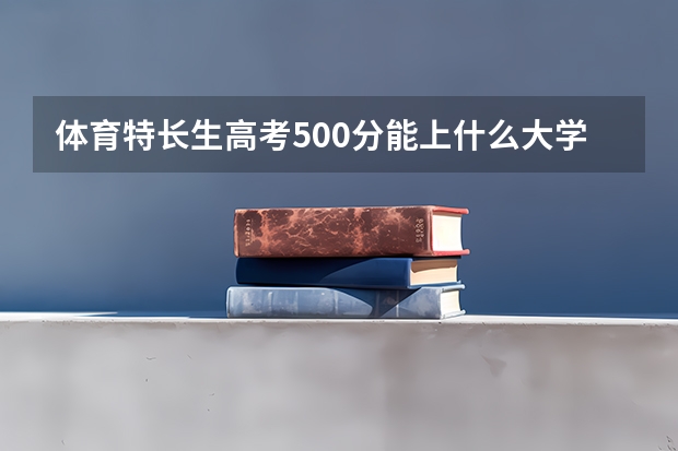 体育特长生高考500分能上什么大学？