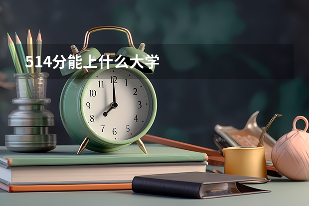 514分能上什么大学