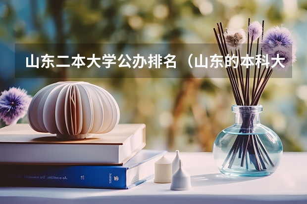 山东二本大学公办排名（山东的本科大学排名）