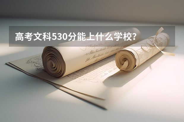 高考文科530分能上什么学校？