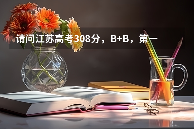请问江苏高考308分，B+B，第一志愿可以填报哪些学校？