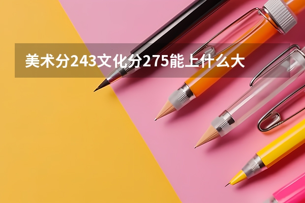 美术分243文化分275能上什么大学