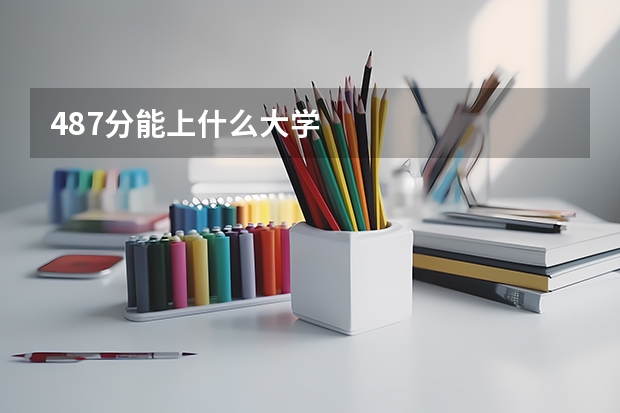 487分能上什么大学