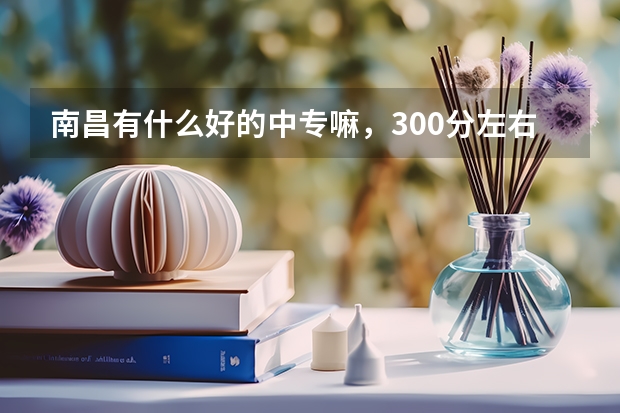 南昌有什么好的中专嘛，300分左右能上的？