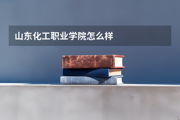 山东化工职业学院怎么样