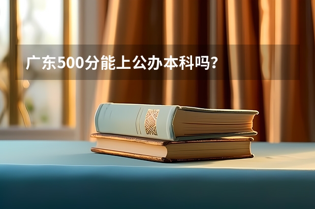 广东500分能上公办本科吗？
