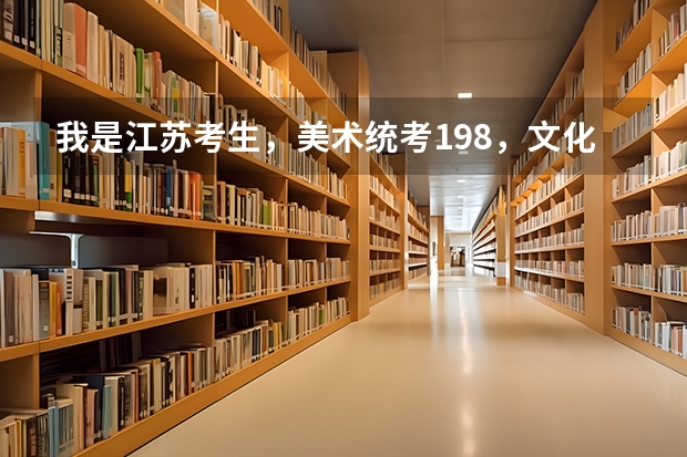 我是江苏考生，美术统考198，文化300左右，大概能上个什么学校呢？一本院校有希望吗？