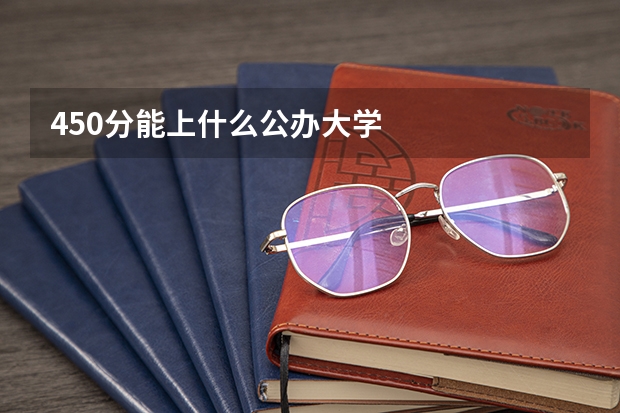 450分能上什么公办大学