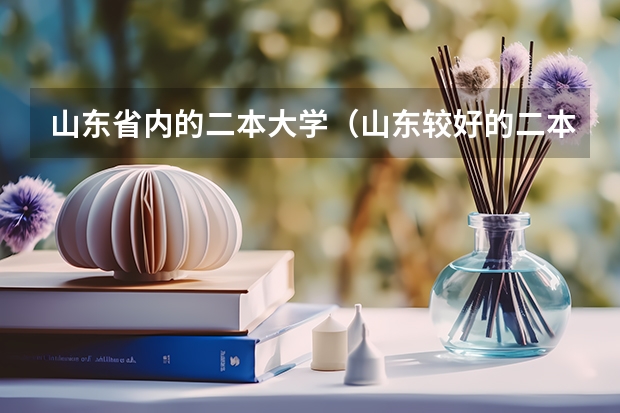 山东省内的二本大学（山东较好的二本大学）