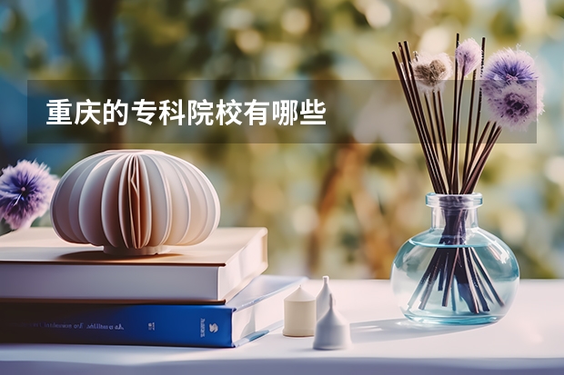 重庆的专科院校有哪些