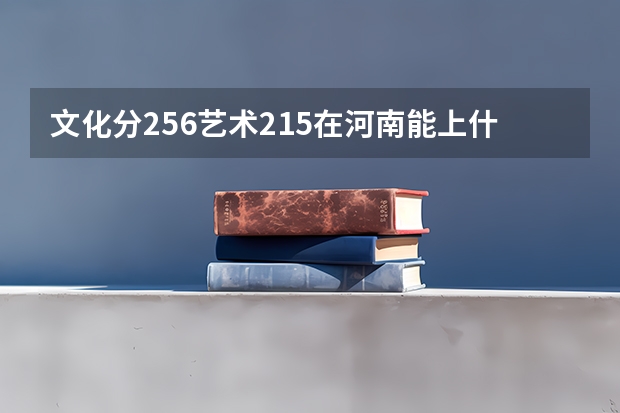 文化分256艺术215在河南能上什么大专?