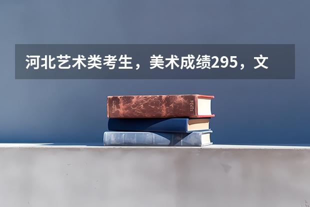 河北艺术类考生,美术成绩295,文化分208,在全国范围能上什么学校?高分感谢。